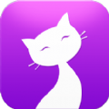 猫咪官网版