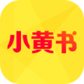 小黄书