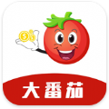 大番茄