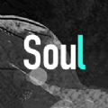 Soul软件