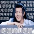 陈情令魏无羡蓝忘机表情包