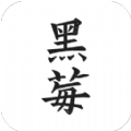 黑莓小说苹果版