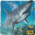 3D踴޽ڹƽ棨Angry Sea White Shark Revenge v1.0.3
