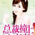 总裁撞上小蛮妻txt