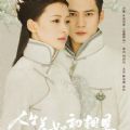 人生若如初相见小说