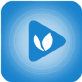 base.apk