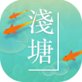 浅塘