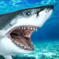 󼢶㹥ϷֻأOcean Hungry Shark attack  v1.0