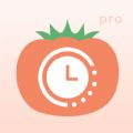 番茄时钟专业版app