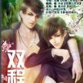 双程小说