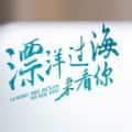 漂洋过海来看你小说