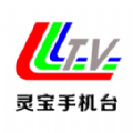 智慧灵宝