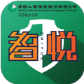 江苏国寿智悦安卓版