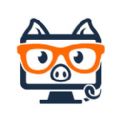 猪宝