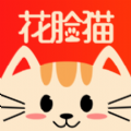 花脸猫