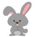 Rabbit Forward